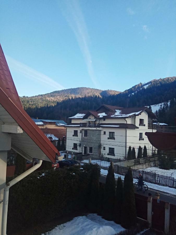 Casa Alexandru Hotell Azuga Eksteriør bilde